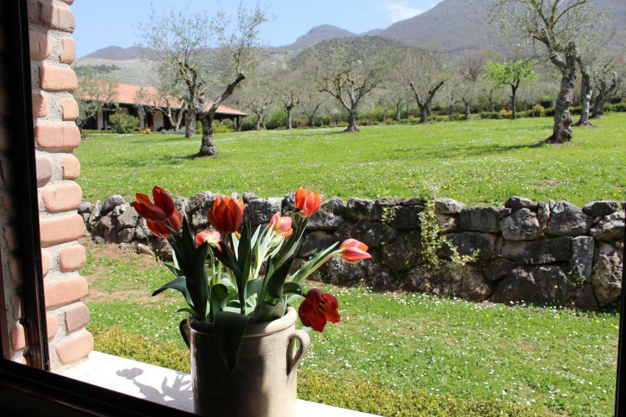 Agriturismo Il Castagneto パドゥーラ エクステリア 写真