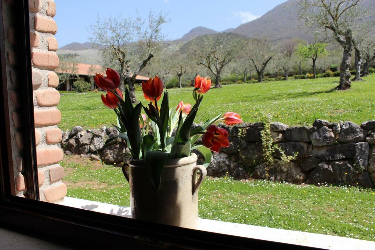 Agriturismo Il Castagneto パドゥーラ エクステリア 写真