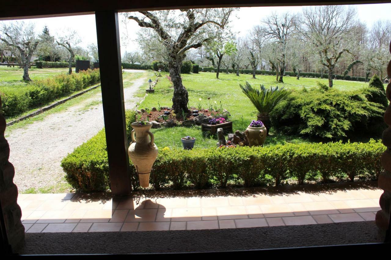 Agriturismo Il Castagneto パドゥーラ エクステリア 写真
