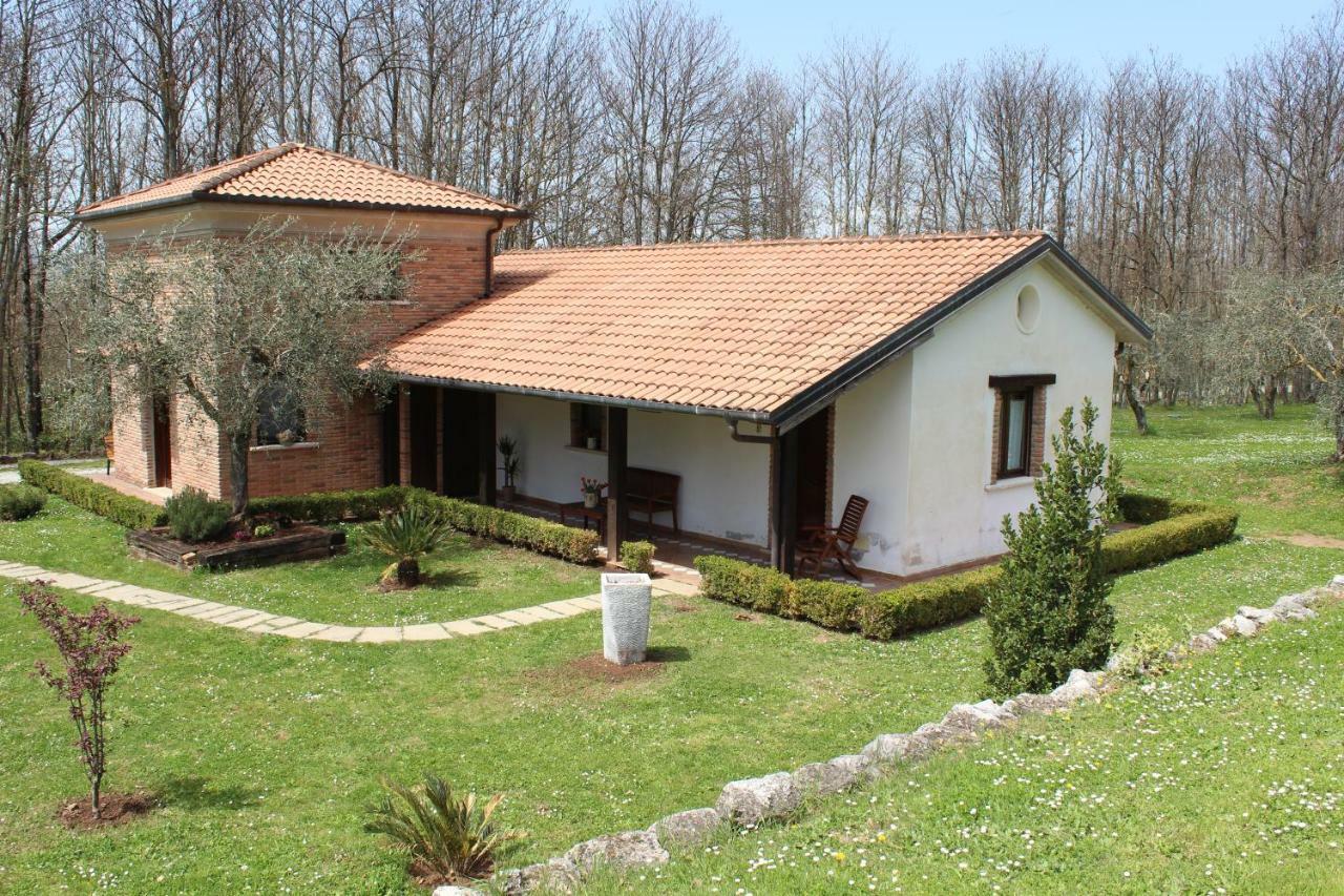 Agriturismo Il Castagneto パドゥーラ エクステリア 写真