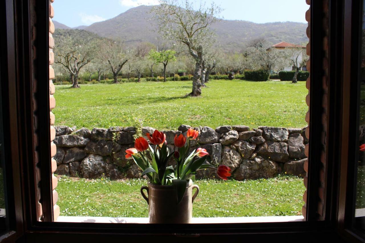 Agriturismo Il Castagneto パドゥーラ エクステリア 写真